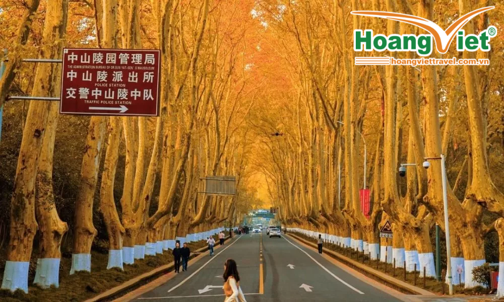 Tour Thượng Hải Dương Châu Nam Kinh 6 Ngày 5 Đêm Trọn Gói Tour Thượng Hải Dương Châu Nam Kinh 6 Ngày 5 Đêm Trọn Gói