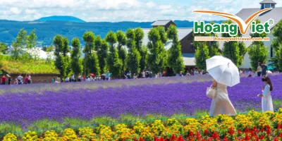 TOUR DU LỊCH HOKKAIDO MÙA HÈ 6N5Đ TỪ HÀ NỘI Tour-du-lich-hokkaido-mua-he