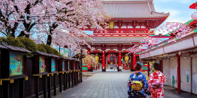 Hoa anh đào và chùa Asakusa tại Tokyo, Nhật Bản Hoa anh đào và chùa Asakusa tại Tokyo, Nhật Bản