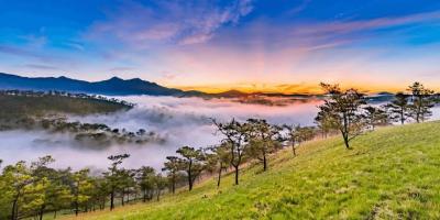 Đồi thông và biển mây Đà Lạt trong ánh bình minh Đồi thông và biển mây Đà Lạt trong ánh bình minh