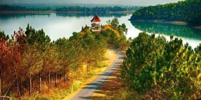 Cảnh hồ và con đường giữa rừng thông Tây Nguyên Cảnh hồ và con đường giữa rừng thông Tây Nguyên