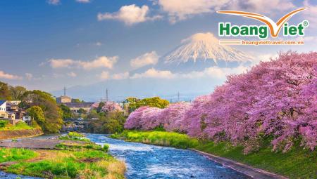 TOUR NHẬT BẢN MÙA HOA ANH ĐÀO 2026 – LỊCH NGẮM HOA CHI TIẾT