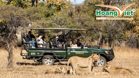 Top Trải Nghiệm Du Lịch Nam Phi Đáng Nhớ