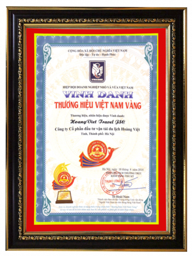 Vinh dự thương hiệu việt nam vàng