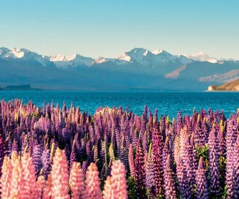 Du Lịch New Zealand: Khám Phá Bối Cảnh Avatar 3