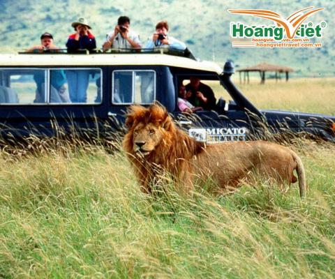 Du Lịch Kenya: Hà Nội - Nairobi - Aberdares - Nakuru - Masai Mara 8 Ngày