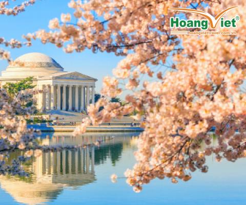 CHÀO ĐÓN MÙA HOA ANH ĐÀO LIÊN TUYẾN ĐÔNG TÂY HOA KỲ 2025 BAY EVA AIR 5 SAO 