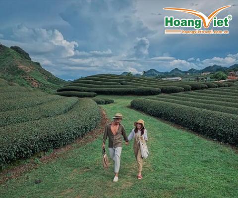 CHƯƠNG TRÌNH KÍCH CẦU DU LỊCH 2020 CAO NGUYÊN MỘC CHÂU Ở KHÁCH SẠN 3*