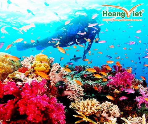 CHƯƠNG TRÌNH PHÚ QUỐC CÂU CÁ – LẶN NGẮM SAN HÔ VNA 4N3Đ TỪ HÀ NỘI