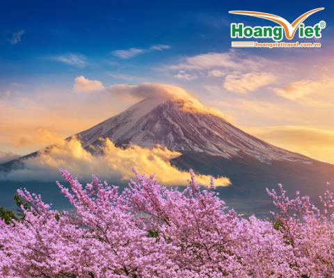 CUNG ĐƯỜNG VÀNG  NGẮM HOA ANH ĐÀO NHẬT BẢN 2024 BAY VIETNAM AIRLINE 