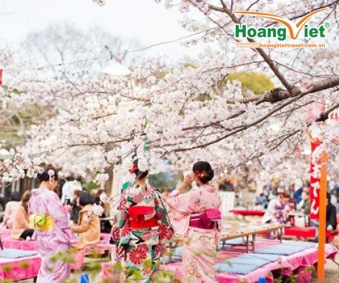 CUNG ĐƯỜNG VÀNG NHẬT BẢN 2025 HOA ANH ĐÀO SỚM & HOA MƠ, HOA MẬN BAY VIETJET AIR 
