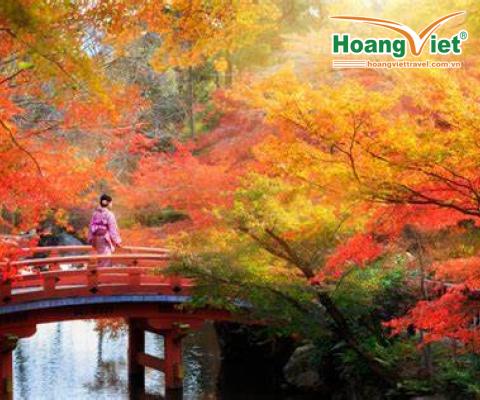 CUNG ĐƯỜNG VÀNG NHẬT BẢN 2025 SẮC THU LÃNG MẠN – TRẢI  NGHIỆM KHÓ QUÊN