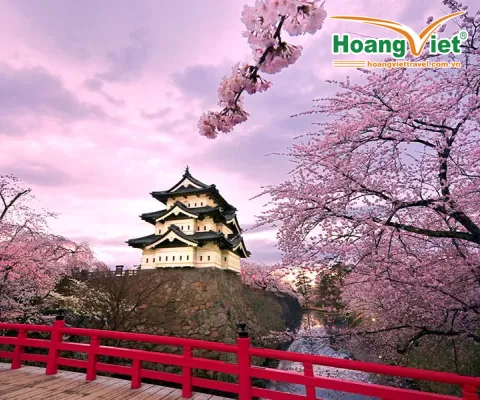 CUNG ĐƯỜNG VÀNG NHẬT BẢN NGẮM HOA ANH ĐÀO SỚM & KẾT HỢP TRƯỢT TUYẾT - NO SHOPPING