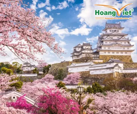 CUNG ĐƯỜNG VÀNG NHẬT BẢN - RỰC RỠ SẮC HOA KOBE – OSAKA – KYOTO – NAGOYA – PHÚ SĨ – TOKYO NO SHOPPING BAY VIETNAM AIRLINES
