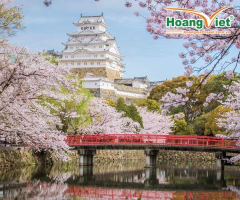 CUNG ĐƯỜNG VÀNG NO SHOPPING 2026 - RỰC RỠ SẮC HOA ANH ĐÀO BAY VIETNAM AIRLINES