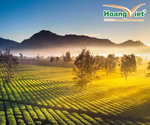 ĐẠI NGÀN TÂY NGUYÊN HÙNG VĨ- MÙA HOA CAFE PLEIKU- BUÔN MÊ THUỘT BAY VIETNAM AIRLINES + Ô TÔ