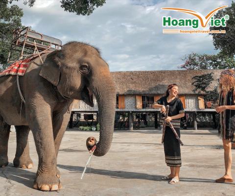 ĐẠI NGÀN TÂY NGUYÊN HÙNG VĨ- MÙA HOA CAFE PLEIKU- BUÔN MÊ THUỘT BAY VIETNAMAIRLINES