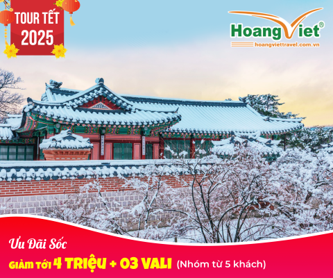 ĐÓN NĂM MỚI TẠI HÀN QUỐC HÀ NỘI - SEOUL - NAMI - LOTTE WORLD - TRƯỢT TUYẾT ELYSIAN BAY JEJU AIR 