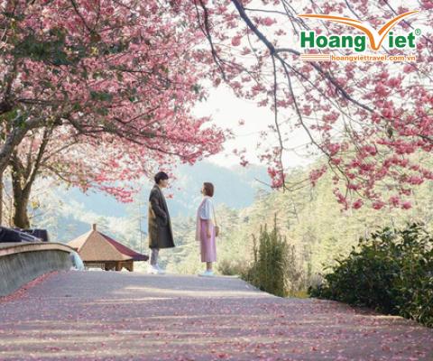 DU LỊCH ĐÀI LOAN MÙA HOA ANH ĐÀO: CAO HÙNG – ĐÀI TRUNG - ĐÀI BẮC 5N4Đ BAY VJ
