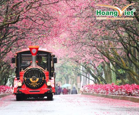 DU LỊCH ĐÀI LOAN NGẮM HOA ANH ĐÀO: ĐÀI TRUNG – CAO HÙNG - ĐÀI BẮC 5N4Đ BAY CI