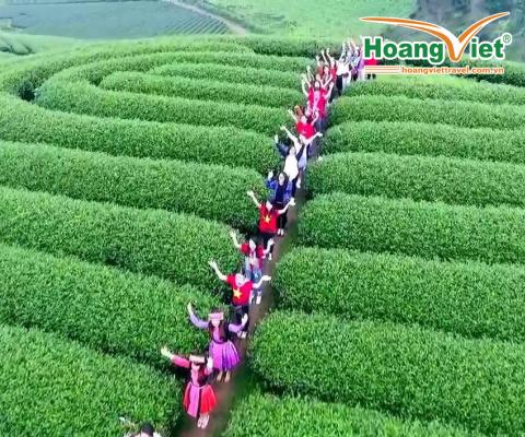 DU LỊCH MỘC CHÂU 2N1Đ 