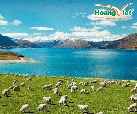 DU LỊCH NEW ZEALAND VÙNG ĐẤT CỦA DẢI MÂY TRẮNG (ĐẢO BẮC) BAY MALAYSIA AIRLINES