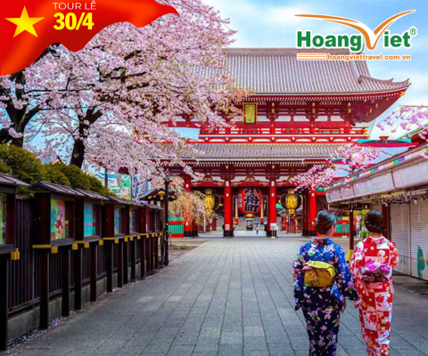 DU LỊCH NHẬT BẢN MÙA HOA ANH ĐÀO 2025 OSAKA – KOBE – KYOTO – NAGOYA – NÚI PHÚ SĨ – TOKYO BAY VIETJET AIR 