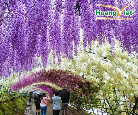DU LỊCH NHẬT BẢN NGHỈ LỄ 30/04