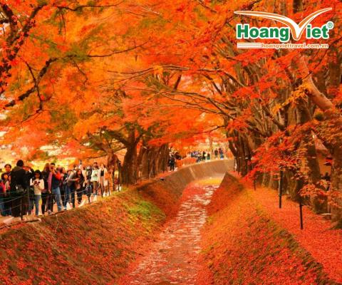 DU LỊCH NHẬT THU VÀNG RỰC RỠ BAY HÀNG KHÔNG VIETNAM AIRLINES - ĐI OSAKA VỀ HANEDA   