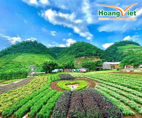 DU LỊCH TÂY BẮC SƠN LA – ĐIỆN BIÊN – MỘC CHÂU 
