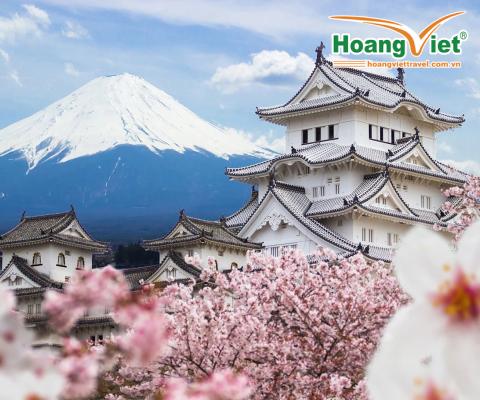 DU XUÂN NHẬT BẢN 2024 VỚI HOA ANH ĐÀO SỚM & HOA MƠ, HOA MẬN