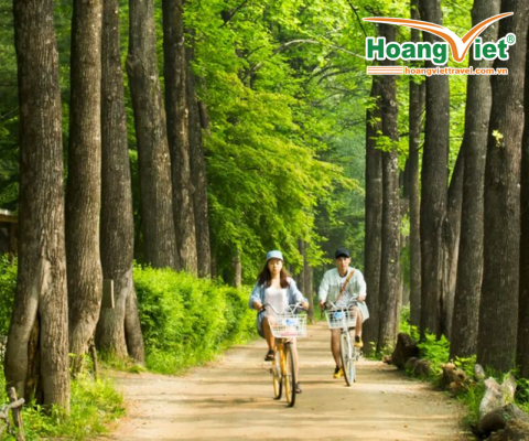 HÀ NỘI – BUSAN – SEOUL – ĐẢO NAMI – INCHEON - ĐI PHÀ CHO HẢI ÂU ĂN  BAY VIETJET AIR (VỀ TRƯA)