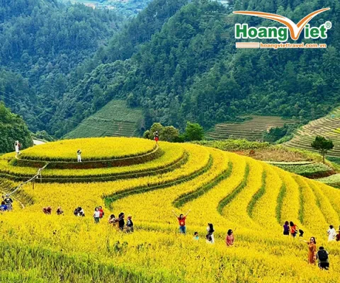 HÀ NỘI – ĐỒI CHÈ THANH SƠN – MÙ CANG CHẢI – HÀ NỘI 3 NGÀY 2 ĐÊM 
