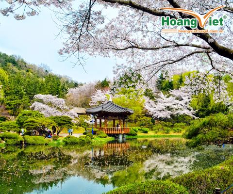  HÀNH TRÌNH ĐẾN XỨ SỞ KIM CHI HÀN QUỐC HÀ NỘI - SEOUL-NAMI-MORNING CALM- EVERLAND BAY