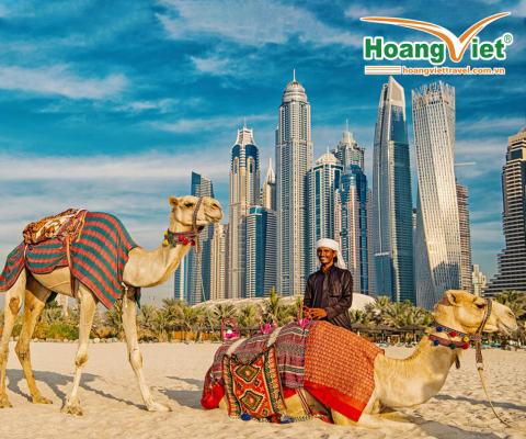 KHÁM PHÁ CÁC TIỂU VƯƠNG QUỐC Ả RẬP HUYỀN BÍ DUBAI – MIRACLE GARDEN- ABU DHABI BAY EMIRATE 5* 