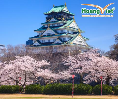 KHÁM PHÁ CUNG ĐƯỜNG VÀNG NHẬT BẢN - RỰC RỠ SẮC HOA NO SHOPPING BAY VIETNAM AIRLINES