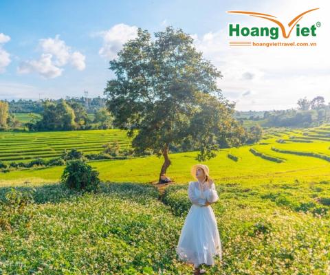 KHÁM PHÁ ĐẠI NGÀN TÂY NGUYÊN HÙNG VĨ PLEIKU-KONTUM-BUÔN MÊ THUỘT BAY VIETNAM AIRLINES 