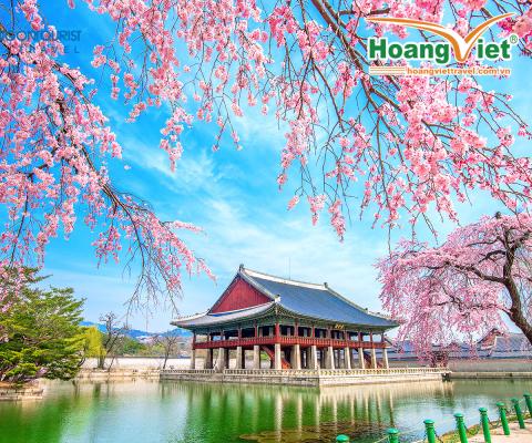 KHÁM PHÁ HÀ NỘI-SEOUL-NAMI-MORNING CALM- EVERLAND-PAINTER SHOW+BAY ASIANA AIRLINES (OZ)  