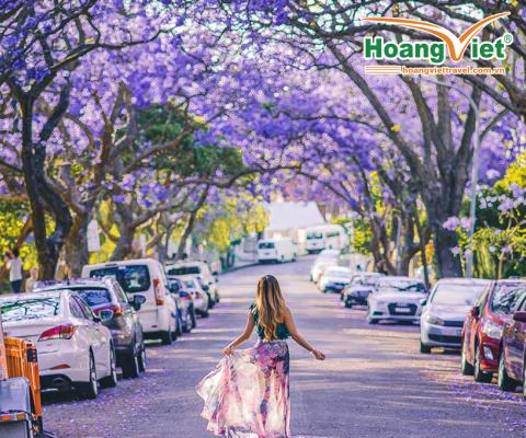 KHÁM PHÁ HÀ NỘI – SYDNEY – CANBERRA - MELBOURNE - HÀ NỘI BAY VIETNAM AIRLINES 