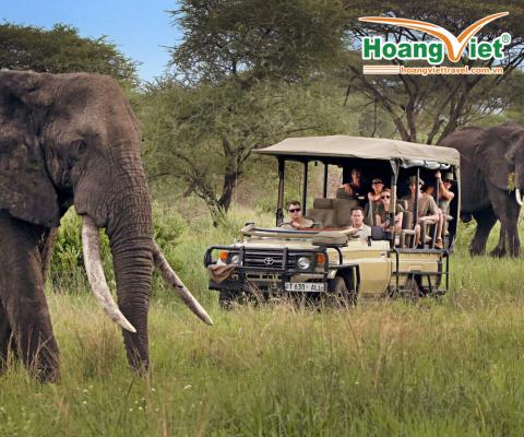 KHÁM PHÁ HUYỀN THOẠI LỤC ĐỊA ĐEN NAM PHI – VÙNG ĐẤT CẦU VỒNG BAY EMIRATES 5*