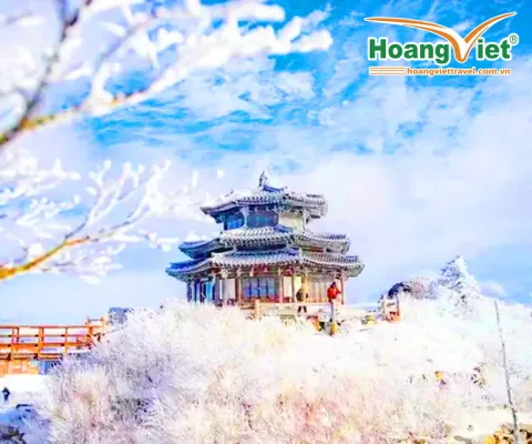 KHÁM PHÁ MÙA ĐÔNG HÀN QUỐC – BAY VIETNAM AIRLINES