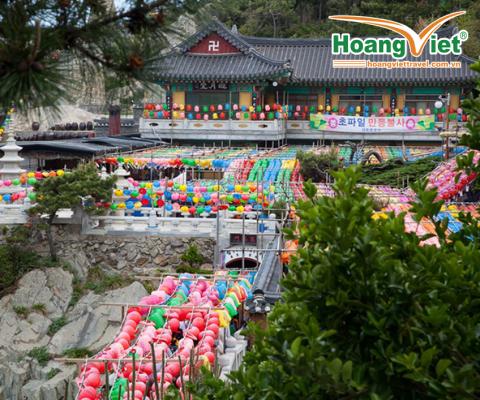 KHÁM PHÁ MÙA HÈ TẠI XỨ SỞ KIM CHI NĂM 2026 HÀ NỘI – BUSAN -SEOUL– ĐẢO NAMI – INCHEON- THƯ VIỆN SÁCH- ĐI PHÀ CHO HẢI ÂU ĂN BAY VIETJET AIR 