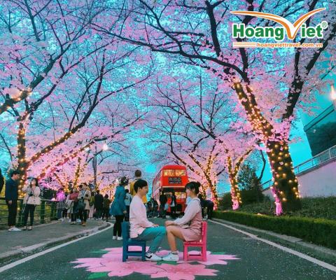 KHÁM PHÁ MÙA HOA ANH ĐÀO “XỨ SỞ KIM CHI” HÀN QUỐC: HÀ NỘI - SEOUL-NAMI- EVERLAND-NGẮM HOA ANH ĐÀO CÔNG VIÊN YEOUIDO BAY VIETJET AIR 