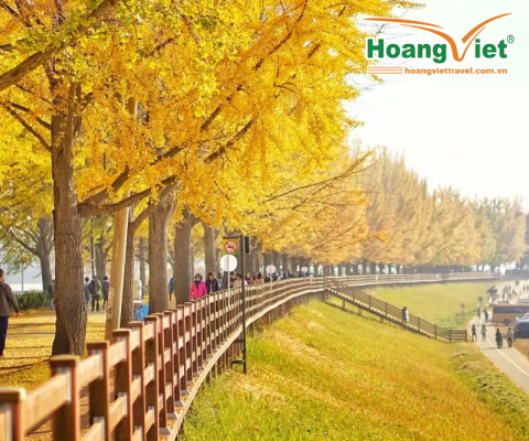 Khám phá mùa thu Hàn Quốc: HÀ NỘI – BUSAN – SEOUL – ĐẢO NAMI – INCHEON- ĐI PHÀ CHO HẢI ÂU ĂN BAY VIETJET AIR