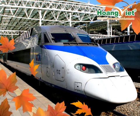 KHÁM PHÁ MÙA THU LÁ VÀNG LÁ ĐỎ HÀN QUỐC - TRẢI NGHIỆM TÀU ĐIỆN NGẦM KTX BAY JEJU 4* 