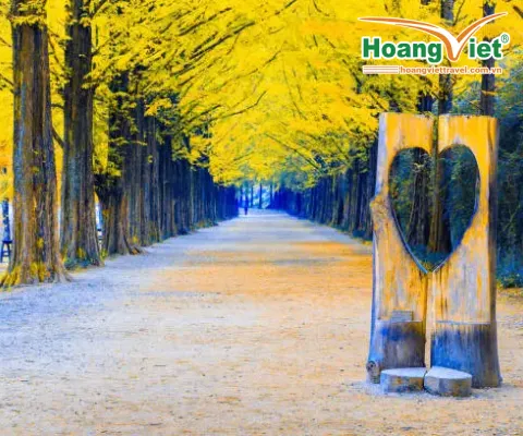 Khám phá mùa thu vàng Busan- Seoul HÀ NỘI – BUSAN –GYEONGJU – SEOUL – ĐẢO NAMI – TÀU ĐIỆN VEN BIỂN HAEUNDAE- CỎ HỒNG MUHLY - LÀNG VĂN HÓA HUINNYEOUL TRẢI NGHIỆM TÀU CAO TỐC KTX TUYẾN BUSAN - SEOUL BAY VIETNAM AIRLINES