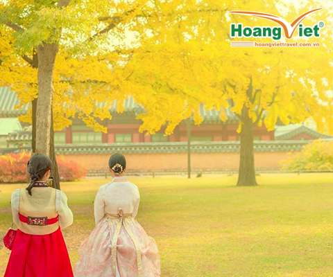 KHÁM PHÁ MÙA THU VÀNG “XỨ SỞ KIM CHI” HÀN QUỐC: HÀ NỘI- SEOUL- NAMI – EVERLAND -HÁI TÁO BAY VIETNAM AIRLINES (BAY TRƯA - TRƯA) 