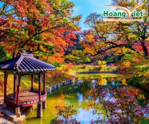 Khám phá mùa thu vàng “xứ sở Kim chi” Hàn Quốc: HÀ NỘI - SEOUL - NAMI – EVERLAND - RỪNG SEOUL - HÁI TÁO BAY VIETNAM AIRLINES 