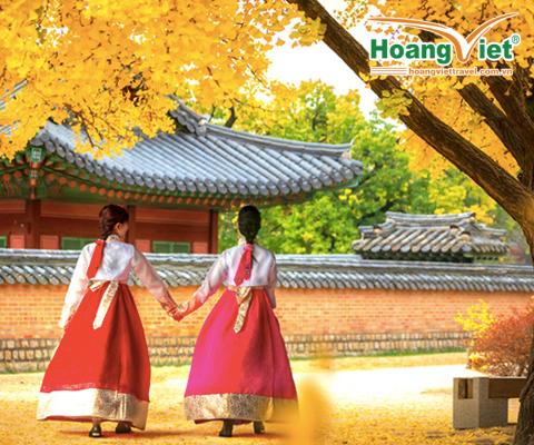 KHÁM PHÁ MÙA THU VÀNG “XỨ SỞ KIM CHI” HÀN QUỐC: HÀ NỘI - SEOUL – NAMI – EVERLAND - RỪNG SEOUL - HÁI TÁO BAY VIETNAM AIRLINES (BAY TỐI - TỐI) 