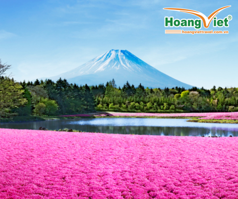 KHÁM PHÁ NHẬT BẢN DỊP LỄ 30/04/2026 HÀ NỘI- NAGOYA-NARA–NAGOYA- KYOTO – NÚI PHÚ SĨ – LỄ HỘI HOA CHI ANH- TOKYO BAY VIETJET AIR